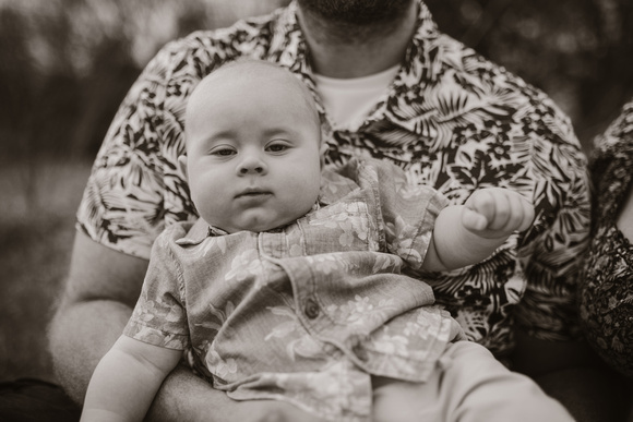 Family Session-10