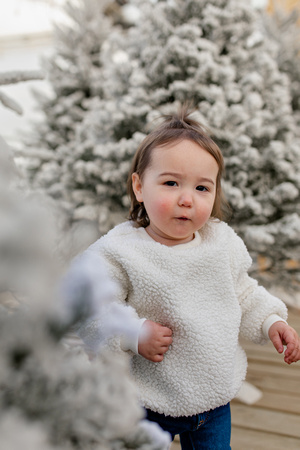 Family Session-19